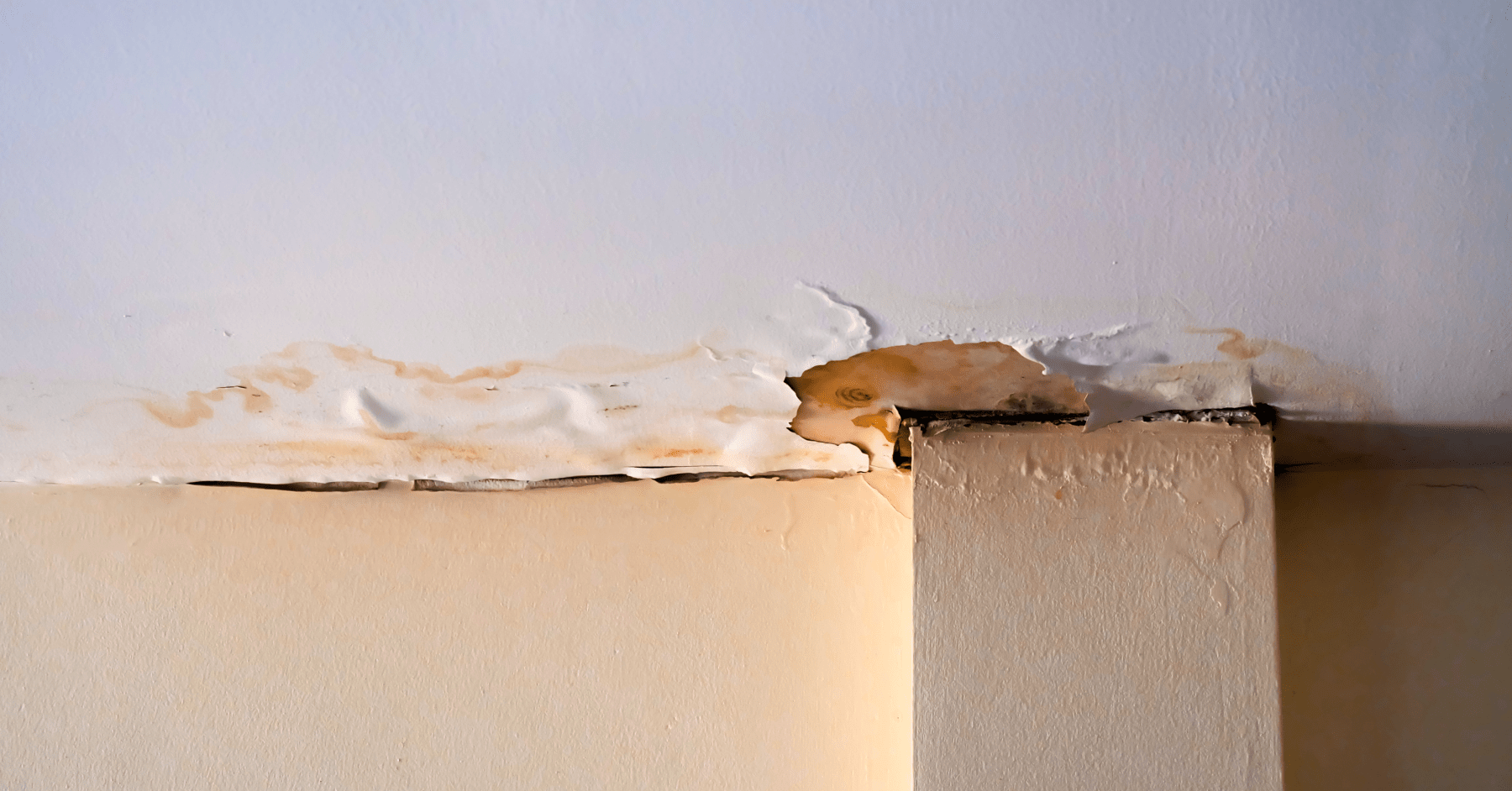 Dealing with a leaky roof west side roofing