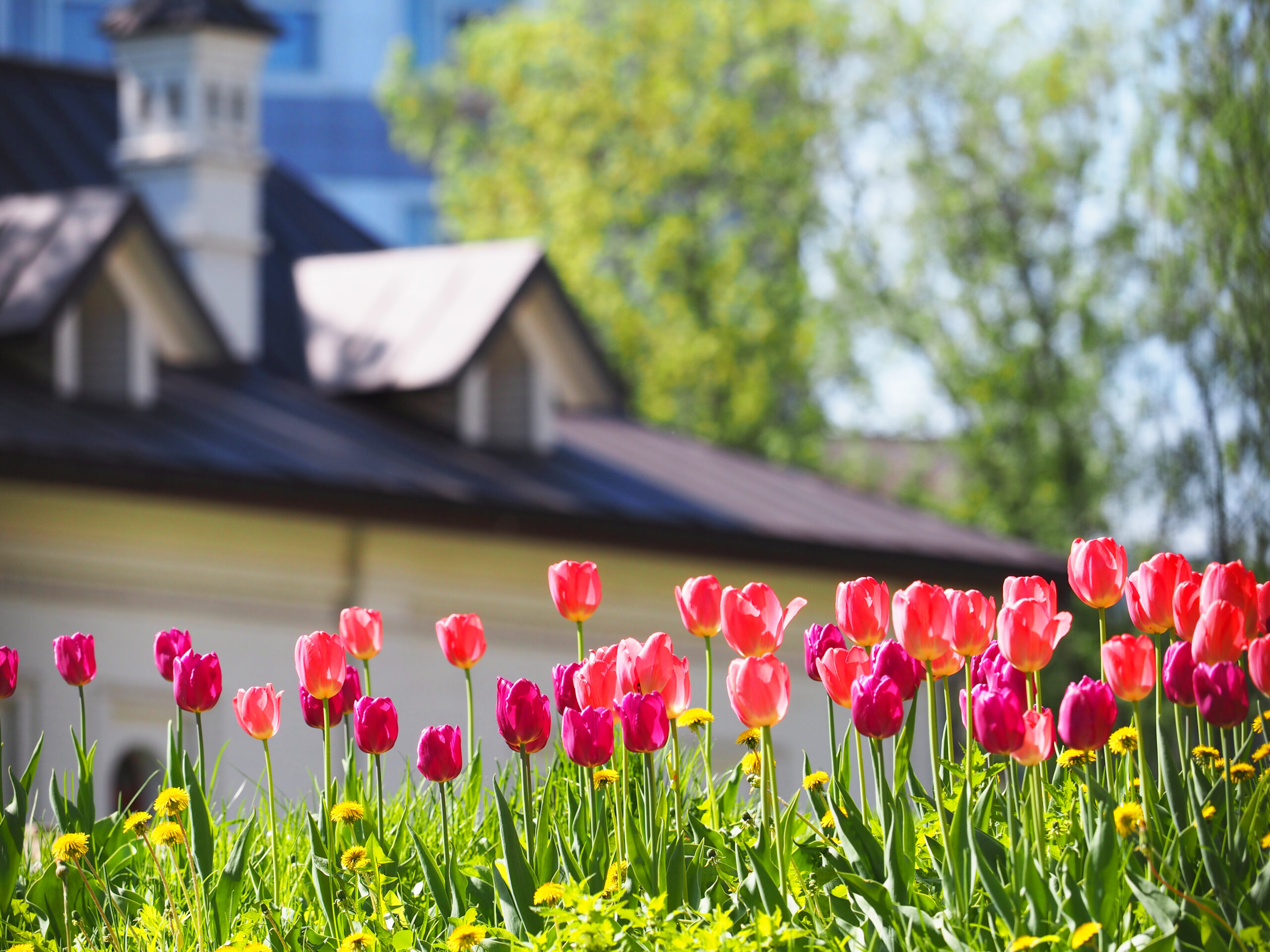 What to Expect During a Roof Tear-Off and Replacement