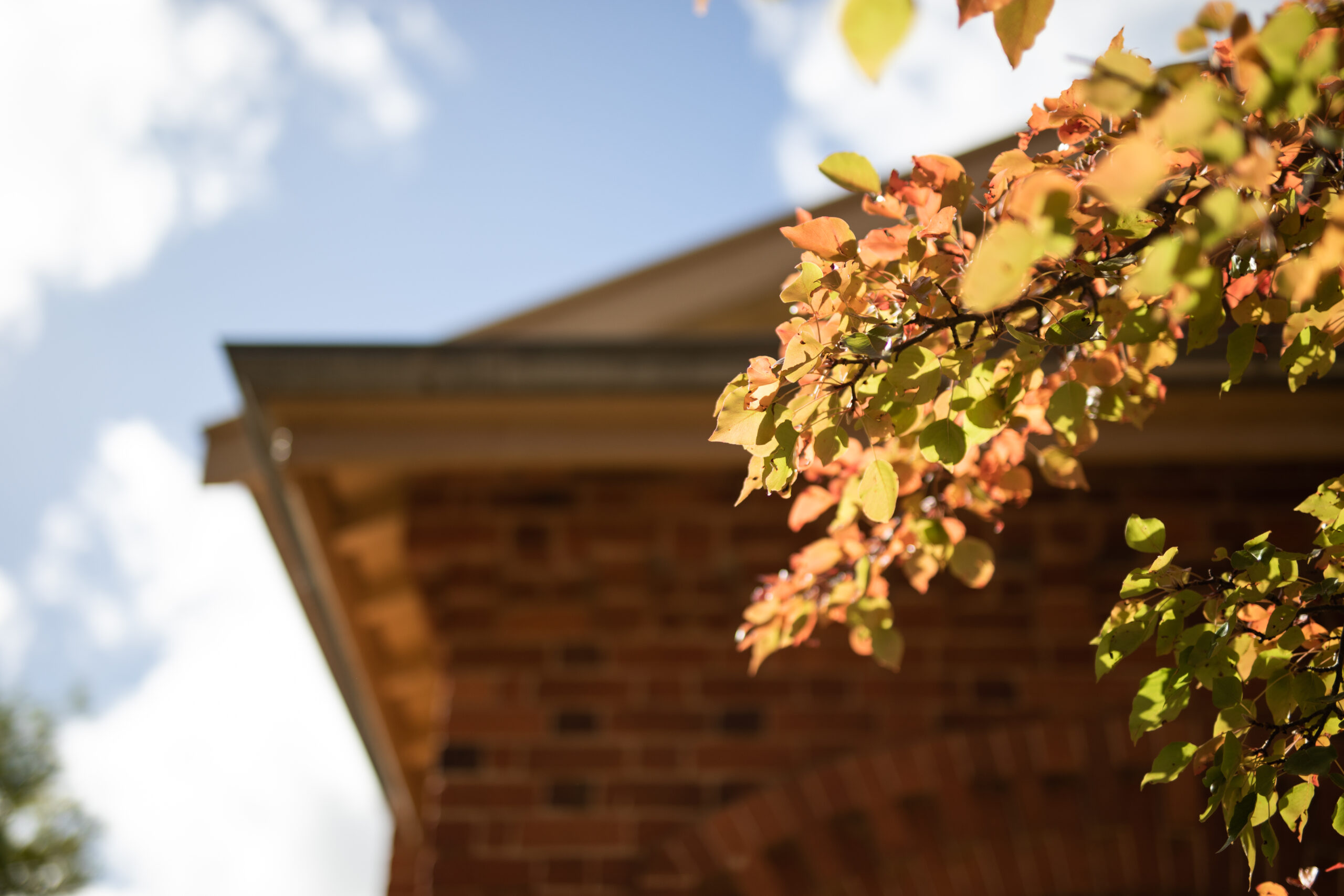 Signs Your Gutters Need Attention
